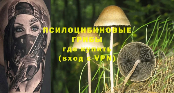 соль курить ск Богородицк