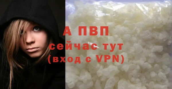 гашик Богородск