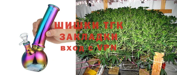стафф Богданович