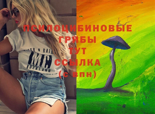 стафф Богданович