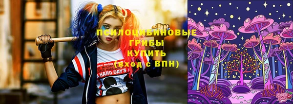 гашик Богородск