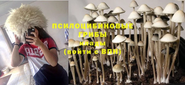 стафф Богданович