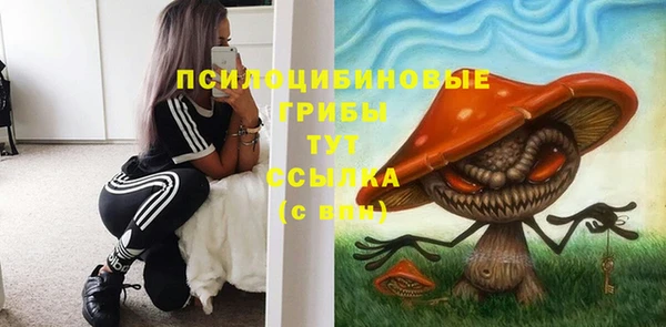 соль курить ск Богородицк