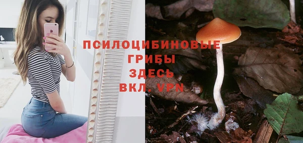 стафф Богданович